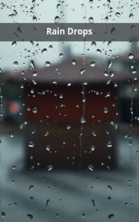 Rain Drops