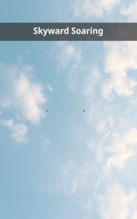 Skyward Soaring