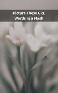 Picture These GRE Words in a Flash