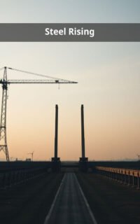 Steel Rising