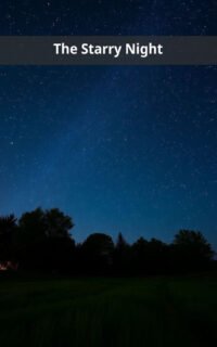 The Starry Night