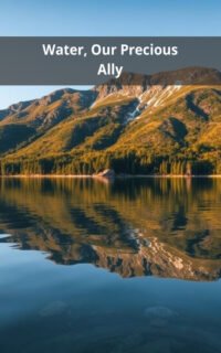 Water, Our Precious Ally