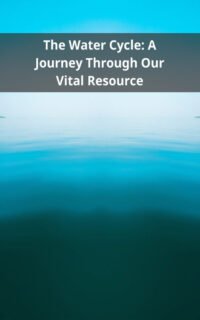 The Water Cycle: A Journey Through Our Vital Resource