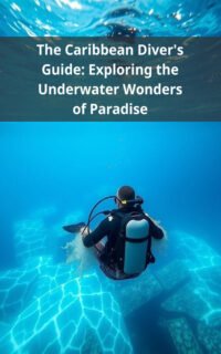 The Caribbean Diver's Guide: Exploring the Underwater Wonders of Paradise