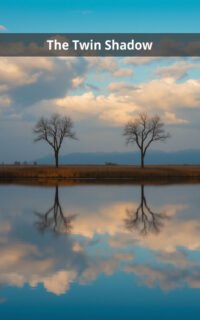 The Twin Shadow