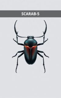 SCARAB-5