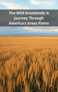 The Wild Grasslands: A Journey Through America's Great Plains