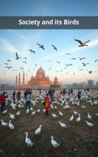 Society and its Birds