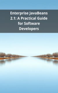 Enterprise JavaBeans 2.1: A Practical Guide for Software Developers